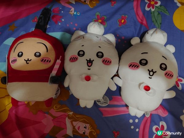 我真係好鍾意飛鼠㗎, 嗰條尾好鬼得意㗎, 佢哋其他小八兔兔都...