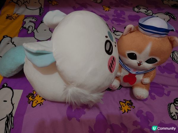 我真係好鍾意飛鼠㗎, 嗰條尾好鬼得意㗎, 佢哋其他小八兔兔都...