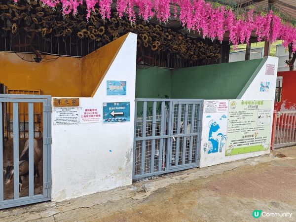 在八鄉一個叫小白兔的農莊。很適合作親子旅遊活動。有動物。有草...