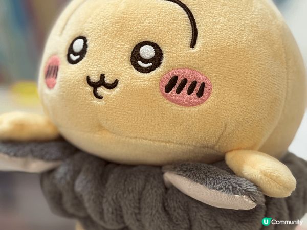 最愛Chiikawa嘅Usagi同埋飛鼠，近來最愛尼幾隻款，...