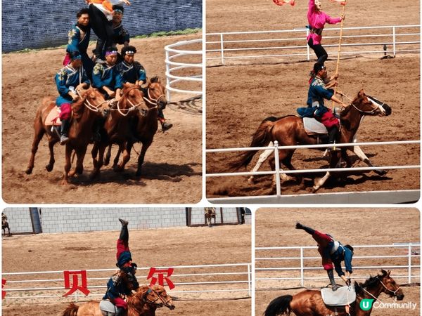 在中國蒙古呼倫貝爾觀看的馬術表演, 除咗馬術仲有摔跤表演. ...