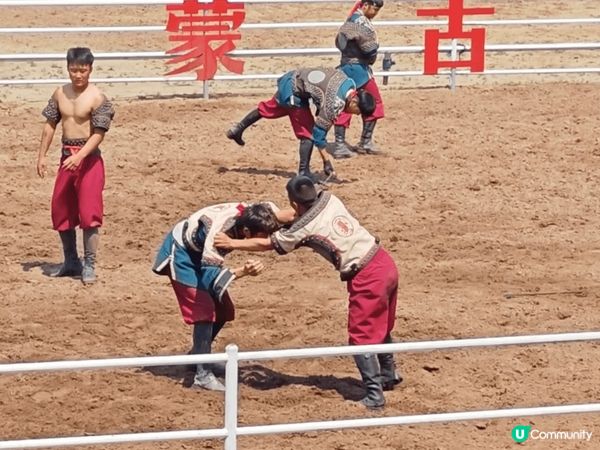 在中國蒙古呼倫貝爾觀看的馬術表演, 除咗馬術仲有摔跤表演. ...