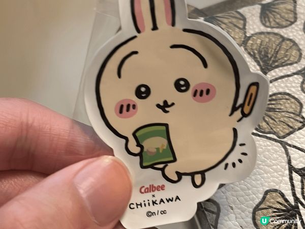 自從去了日本旅行之後就一直買chiikawa