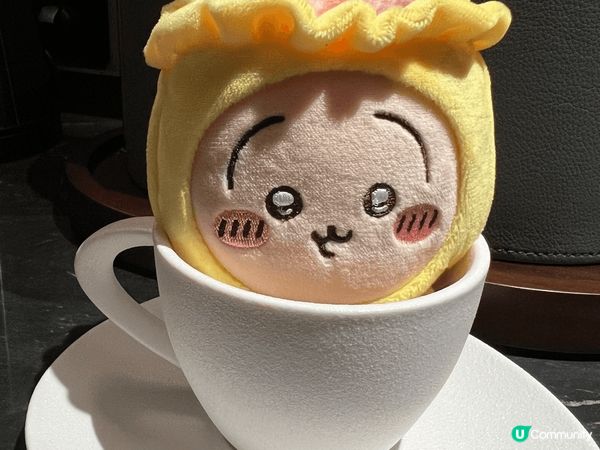 兔哥總帶給大家驚喜，又不怕危險，熱愛美食