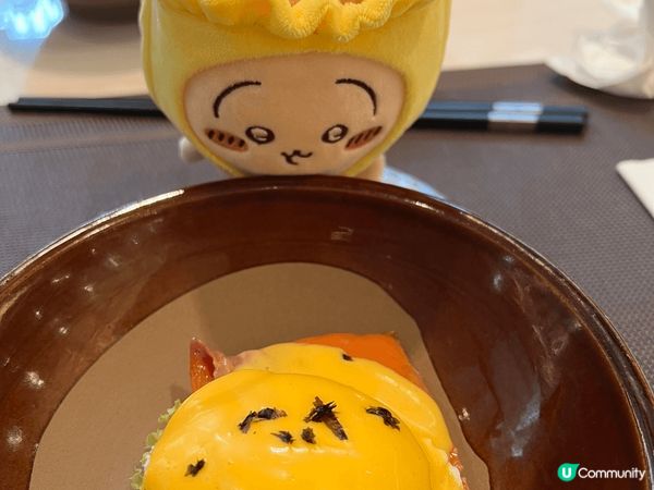 兔哥總帶給大家驚喜，又不怕危險，熱愛美食