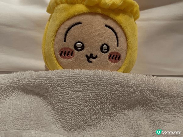 兔哥總帶給大家驚喜，又不怕危險，熱愛美食