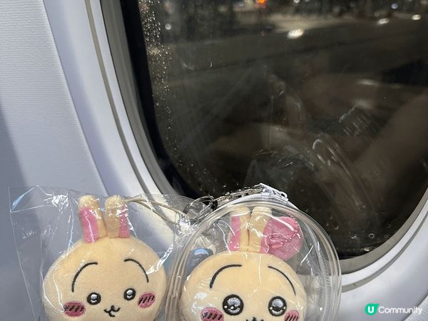 惡魔兔與霓虹燈牌，帶着大眼兔晴天兔去旅行，排了8小時買到的達...