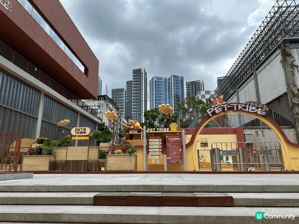 #深圳好去處 太安站的天河城有個寵物樂園好可愛啊