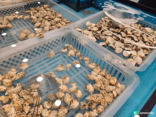 港島街坊有福了！新開即撈海鮮火鍋放題餐廳，最平$268起即可...