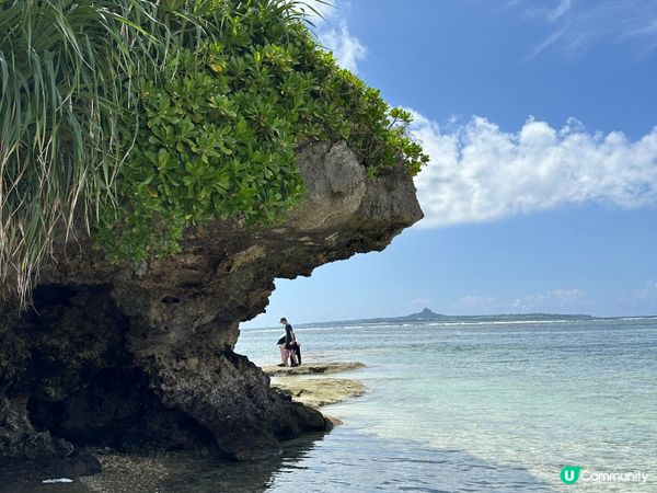 水族館對出嘅海比水族館更吸引⁉️🤩🏖️