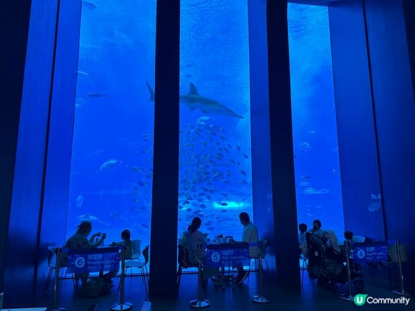 水族館對出嘅海比水族館更吸引⁉️🤩🏖️