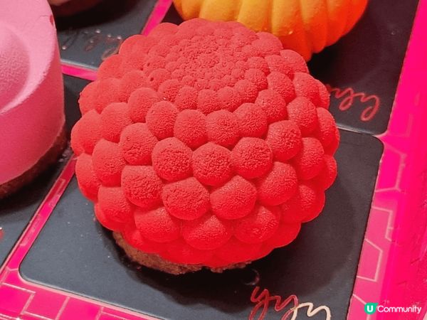 yyy house of cakes啲蛋糕真係靚到尖叫！個個...