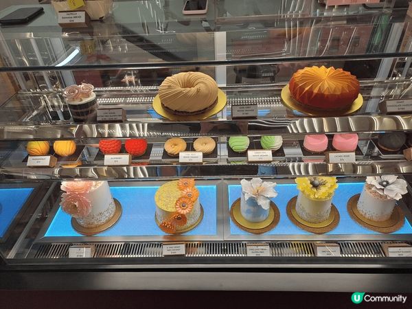 yyy house of cakes啲蛋糕真係靚到尖叫！個個...