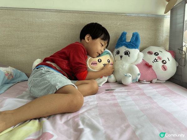 我家小孩非常喜歡兔哥及小可愛們，每次看到別人的掛飾時，總是忍...