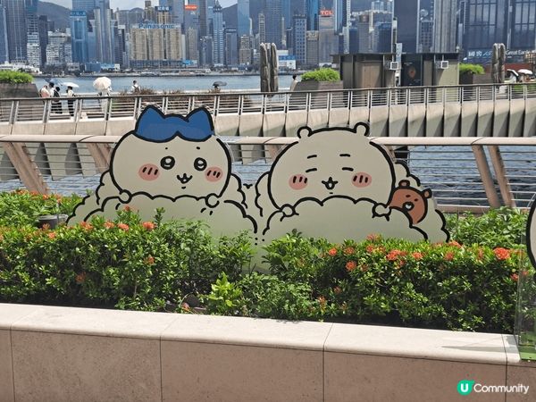 喜歡Chiikawa因其療癒可愛的畫風與溫暖故事，吉伊卡哇膽...