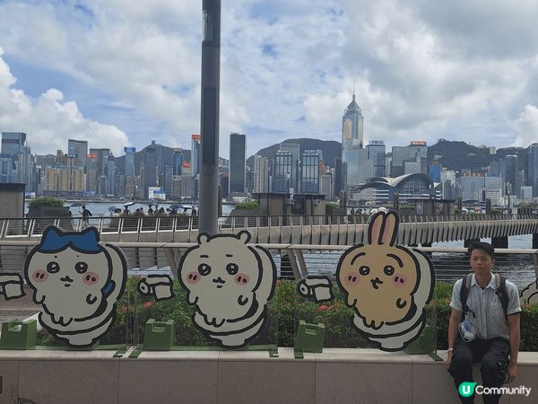 喜歡Chiikawa因其療癒可愛的畫風與溫暖故事，吉伊卡哇膽...