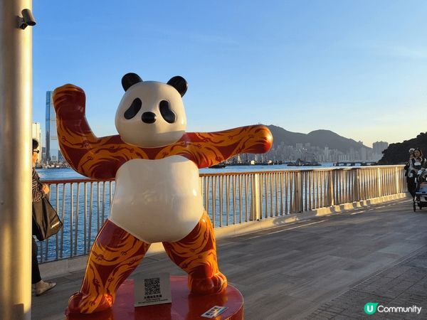 我想去全港首個熱氣球節～ #維港熱氣球之旅 #UCreato...