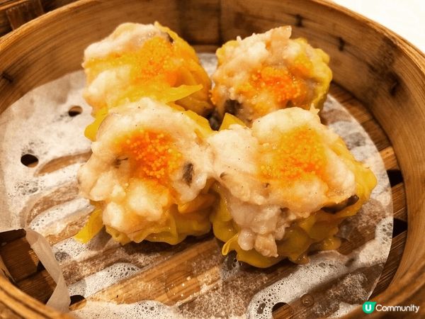 茶皇殿- 杏汁花膠灌湯餃夠誠意，椰皇雙皮奶熱辣辣惹味，其他點...