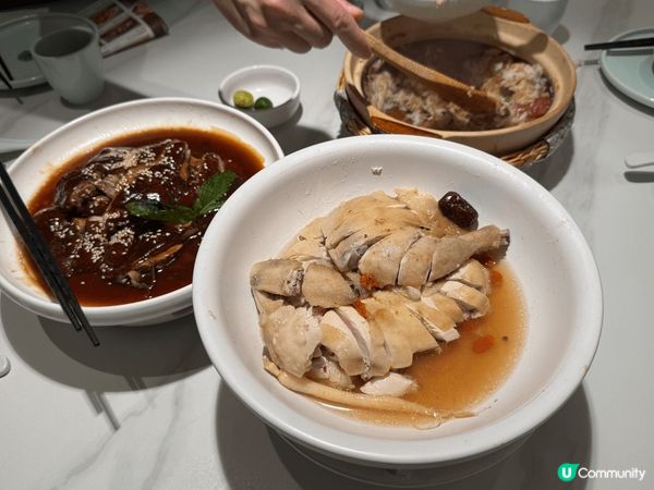 香港首店—「大榕樹下」