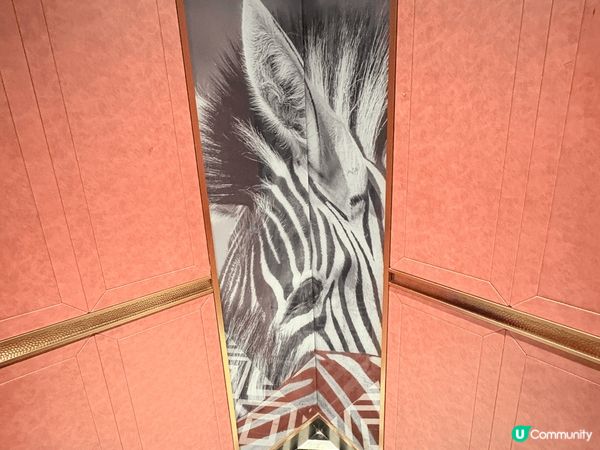 珠海拱北口岸麗芮酒店靠近拱北口岸，酒店設計有特色，用黑、白、...