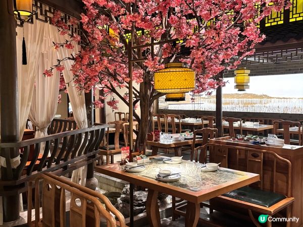 深圳/吳莊杭幫菜初體驗！🤩 桃花樹下用餐，正呀！😋