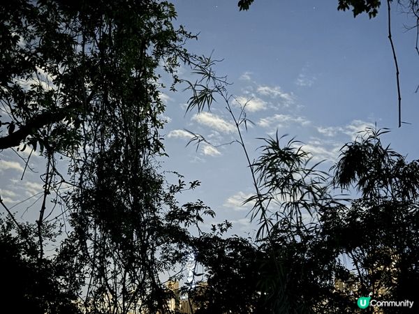 1. 香港星光大道