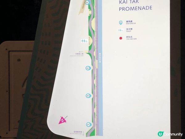 啟德海濱長廊，散步賞月一流！ 🌙🐶🏃‍♀️