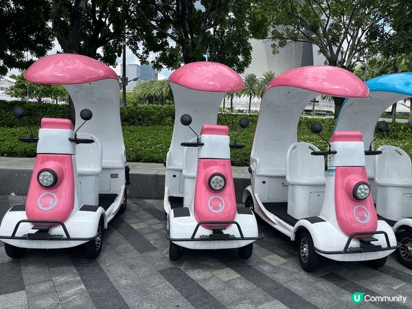 話說我係洞庭湖玩過呢架電動車對佢實在念念不忙