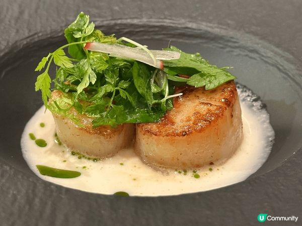 位於銅鑼灣的CulinArt 1862, 非常之有格調的一間...