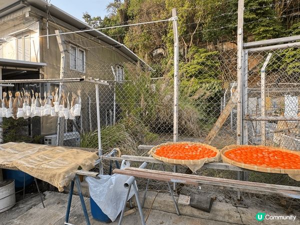 🎂✨ 生日 getaway 原來可以咁正 ✨🎂