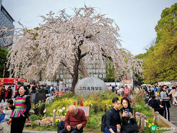 香港人返鄉下大玩日本富士山之旅，真係晒出朋友圈必殺美照！天氣...