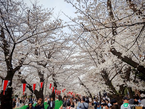 香港人返鄉下大玩日本富士山之旅，真係晒出朋友圈必殺美照！天氣...