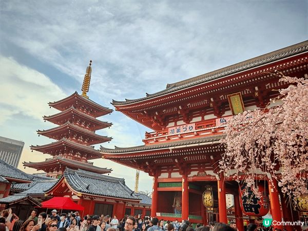 香港人返鄉下大玩日本富士山之旅，真係晒出朋友圈必殺美照！天氣...