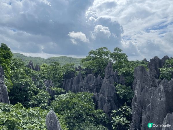 「地表最狂石林」富川•神劍石林景區「橫看成嶺側成峰」