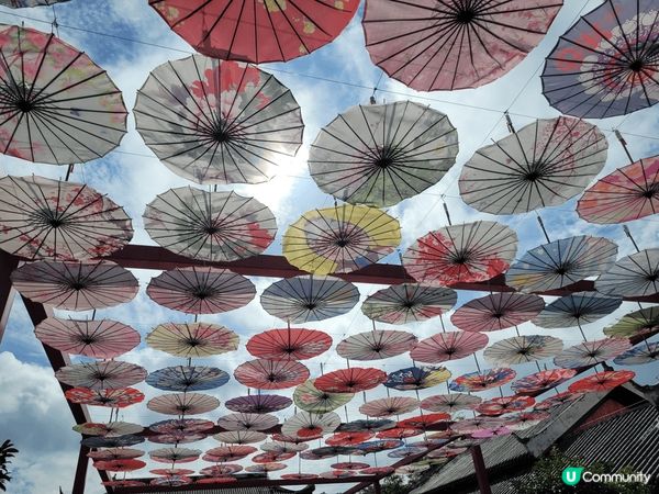 「地表最狂石林」富川•神劍石林景區「橫看成嶺側成峰」