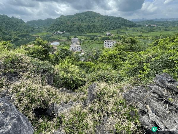 「地表最狂石林」富川•神劍石林景區「橫看成嶺側成峰」