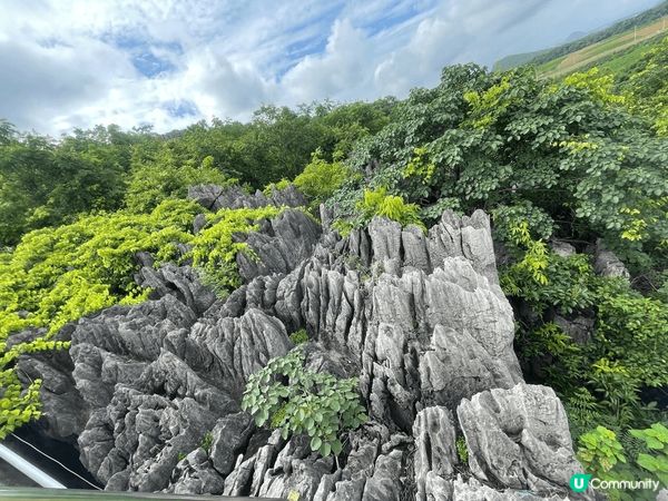 「地表最狂石林」富川•神劍石林景區「橫看成嶺側成峰」