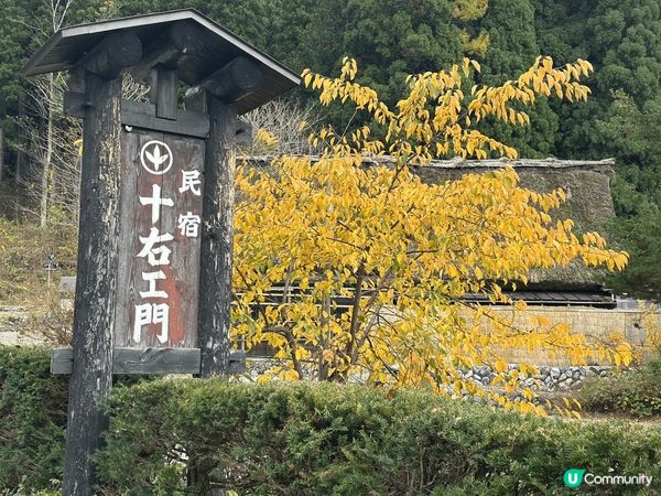 這是名古屋嘅八川鄉，當時月份係睇紅葉，非常之靚舒服