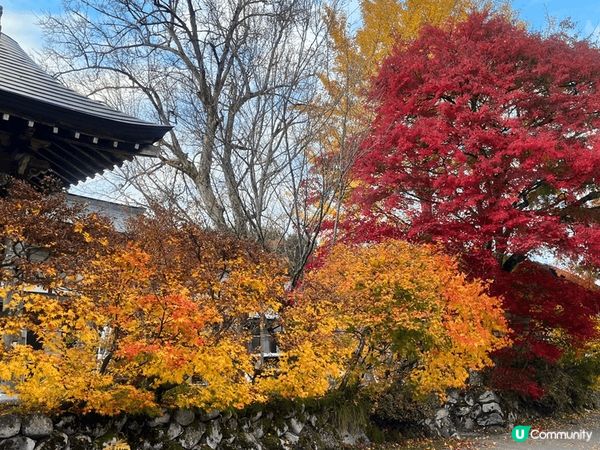 這是名古屋嘅八川鄉，當時月份係睇紅葉，非常之靚舒服