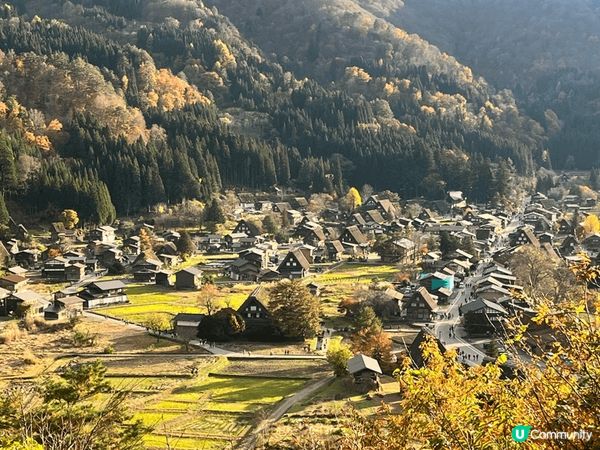 這是名古屋嘅八川鄉，當時月份係睇紅葉，非常之靚舒服