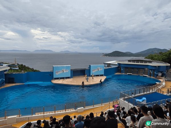 海洋公園的海洋劇場給人一種既震撼又溫馨的感受。劇場內的海豚和...