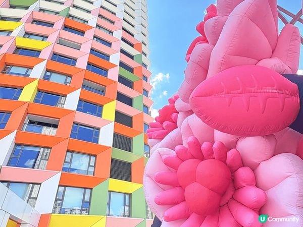 深圳有踩單車經過一棟「彩虹大樓」，忍不住停下來打卡，這橦婦兒...