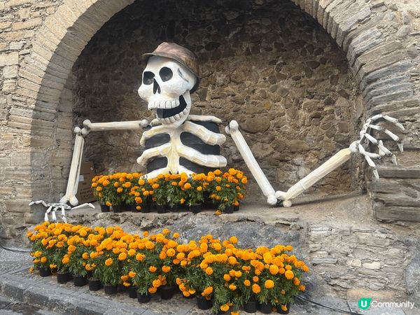 墨西哥 El Día de Muertos🪦