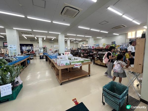 沖繩宜野座休息站親子遊！玩到唔捨得走🤩