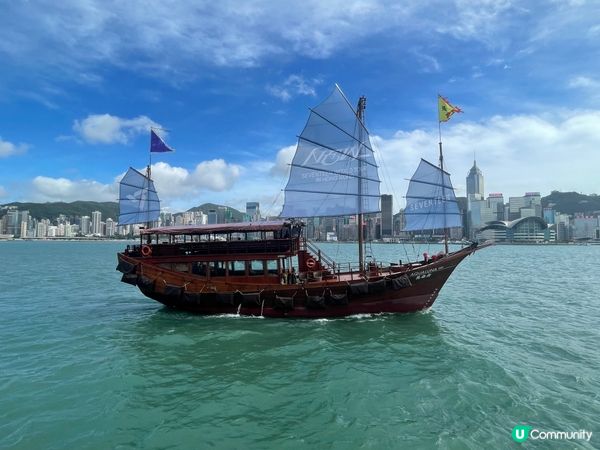 SVT 應援～星光大道