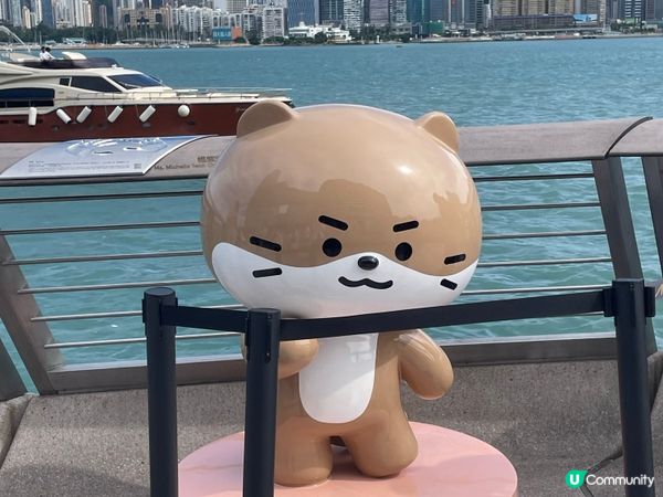 SVT 應援～星光大道