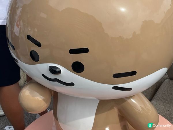 SVT 應援～星光大道