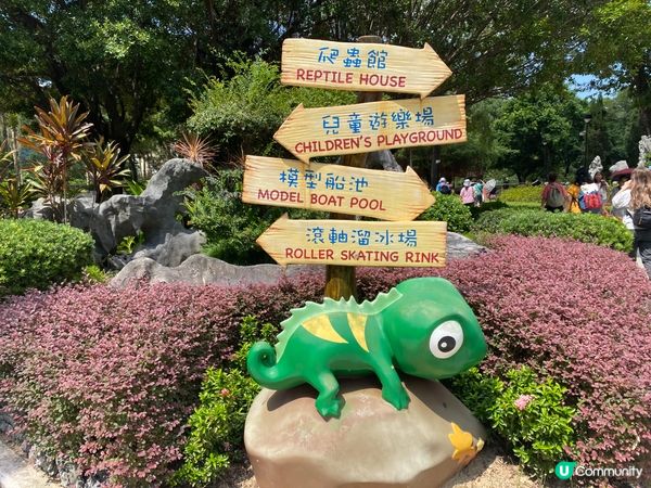 屯門公園爬蟲館，親子生態遊🤩！