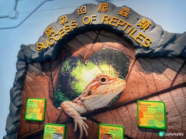 屯門公園爬蟲館，親子生態遊🤩！