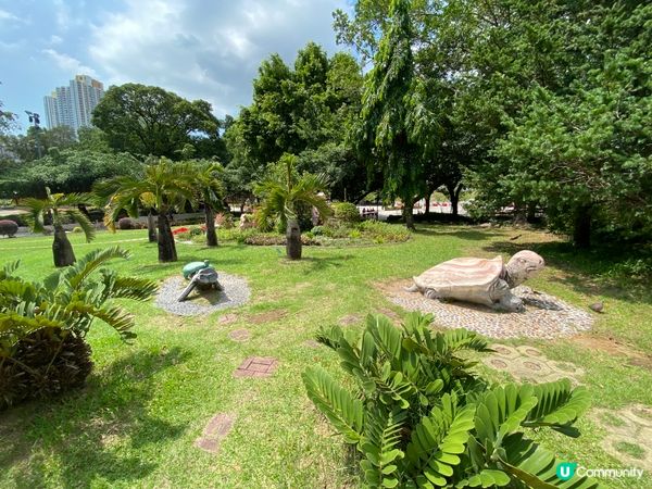 屯門公園爬蟲館，親子生態遊🤩！